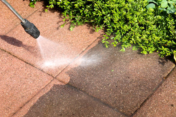 Best Local Pressure Washing Services  in Bloomfield, NY